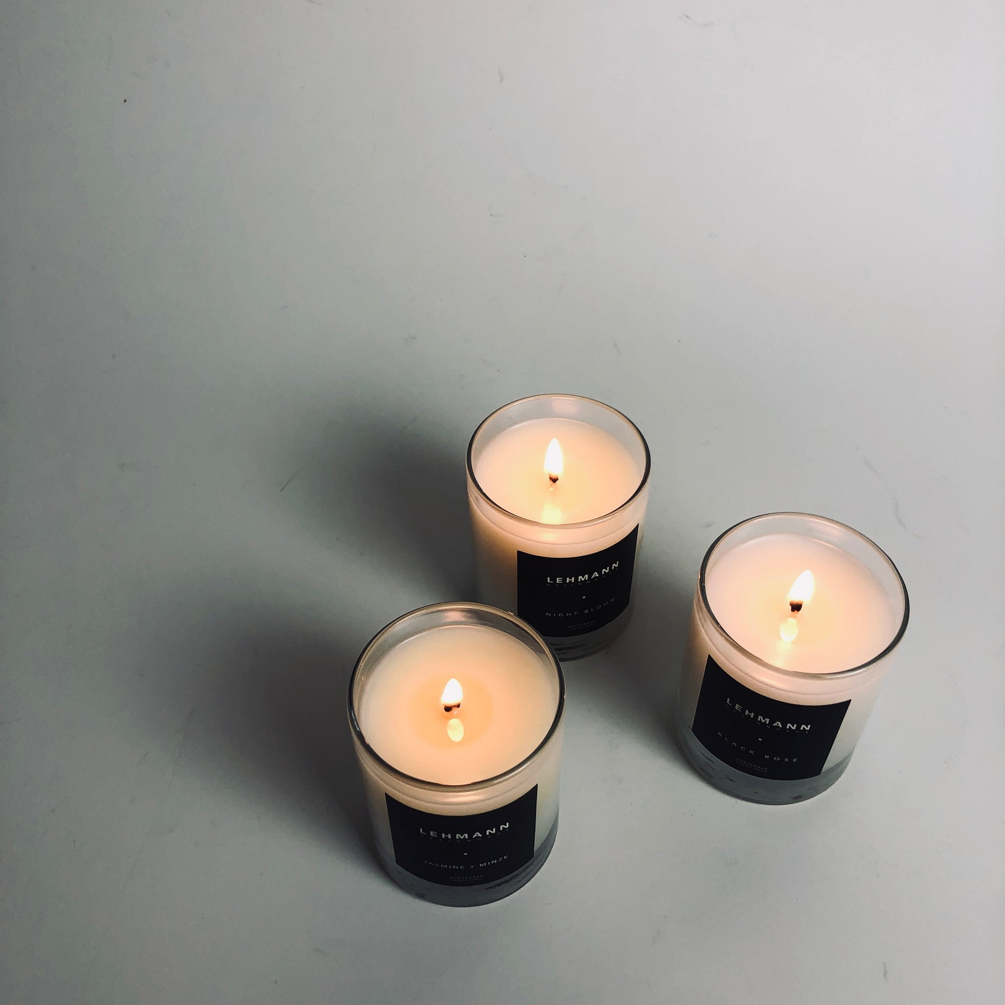 The Olfactory Canvas: When Scent Meets Fine Art